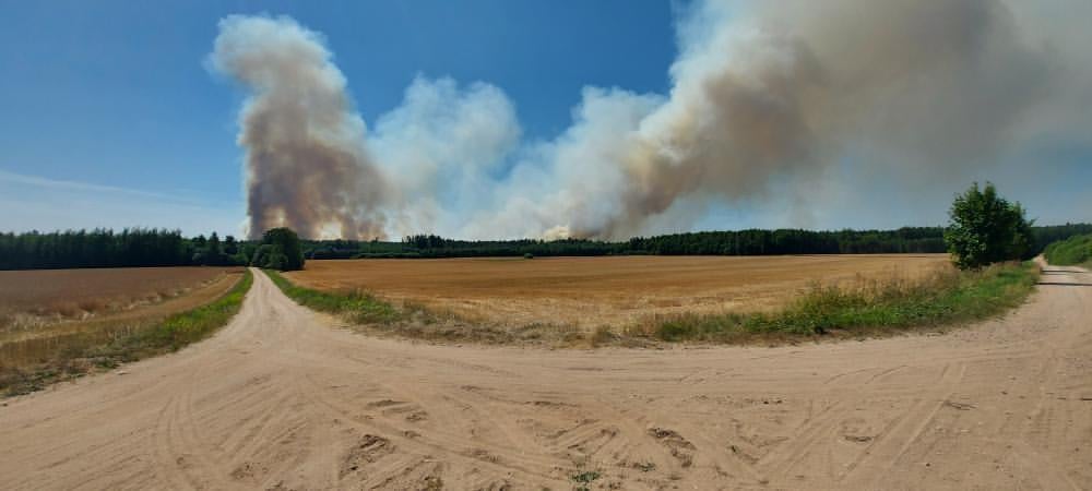 В Сигулдском и Кулдигском краях продолжают бушевать пожары