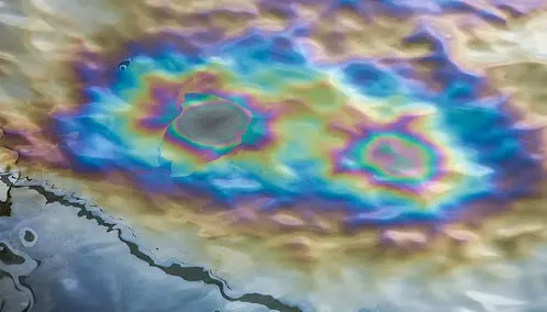 Нефть в Балтийском море с терминала в Бутинге «нейтрализована»