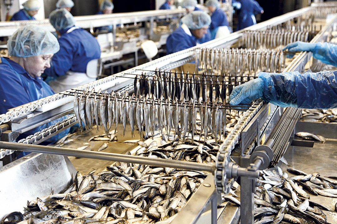 Продукты "Kaija" в магазине в Китае продают под вывеской "Ура, Россия"