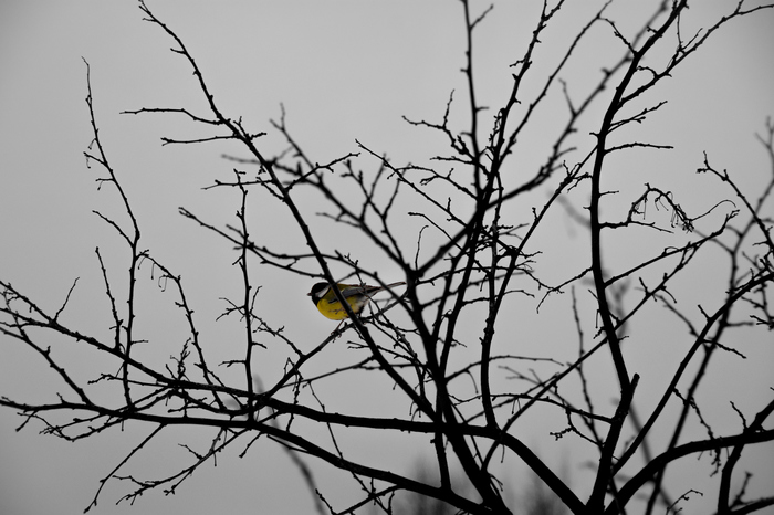 В пятницу станет немного теплее