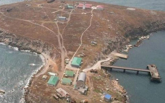 ВСУ доложило о зачистке острова Змеиный