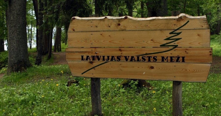 В Latvijas valsts meži ищут 5 членов совета директоров В Latvijas valsts meži ищут 5 членов совета директоров