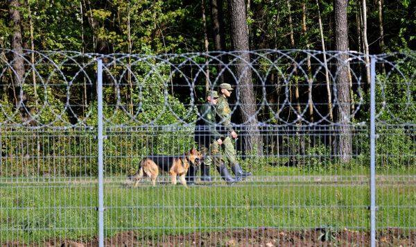 Забор на границе с Беларусью в Литве построят в кредит