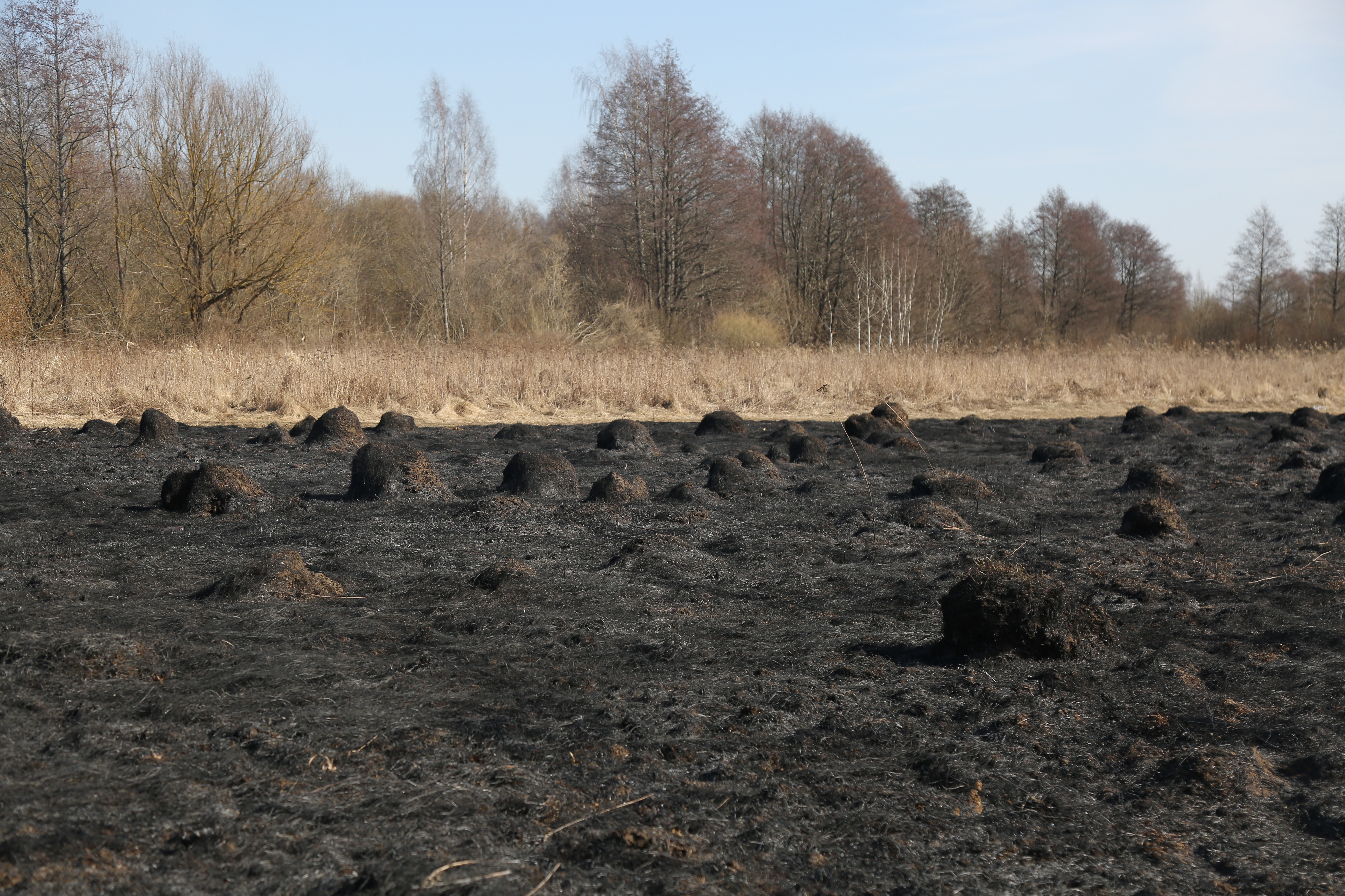 Ugunsdzēsēji Salaspils novadā dzēsuši kūlu 19,5 hektāru platībā