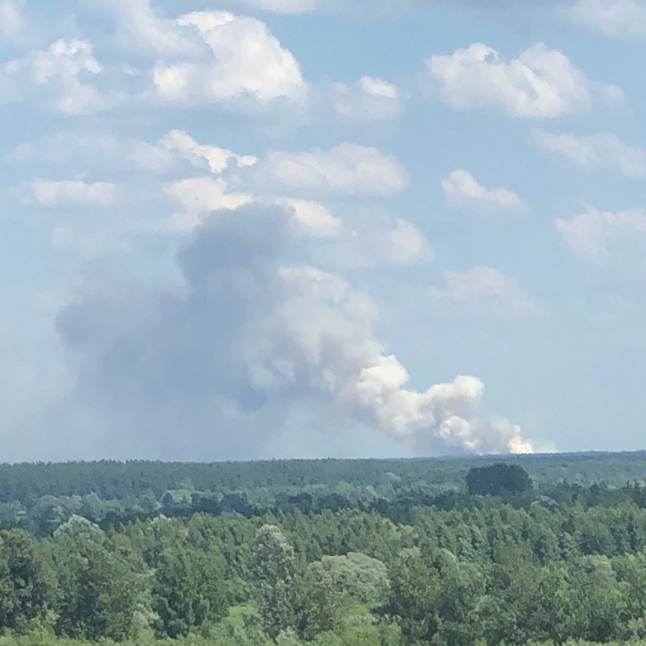 В Гаркалне горит лес. Площадь возгорания уточняется