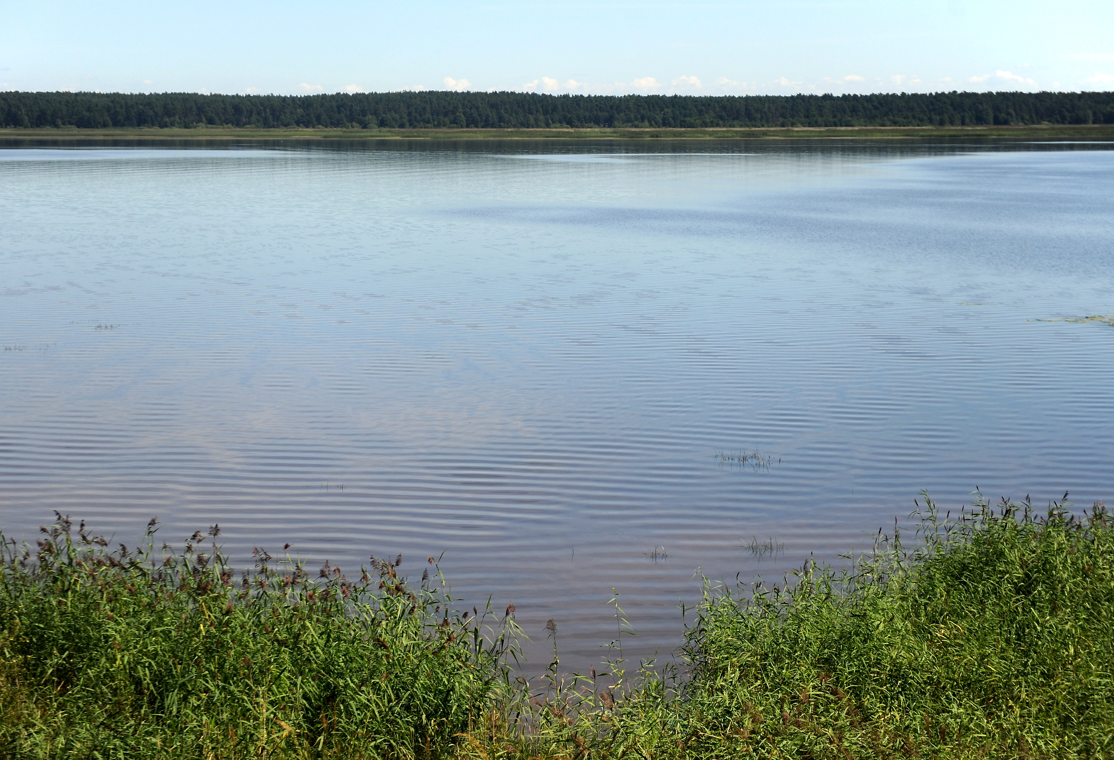 Вода в реках местами прогрелась до +20 градусов Вода в реках местами прогрелась до +20 градусов