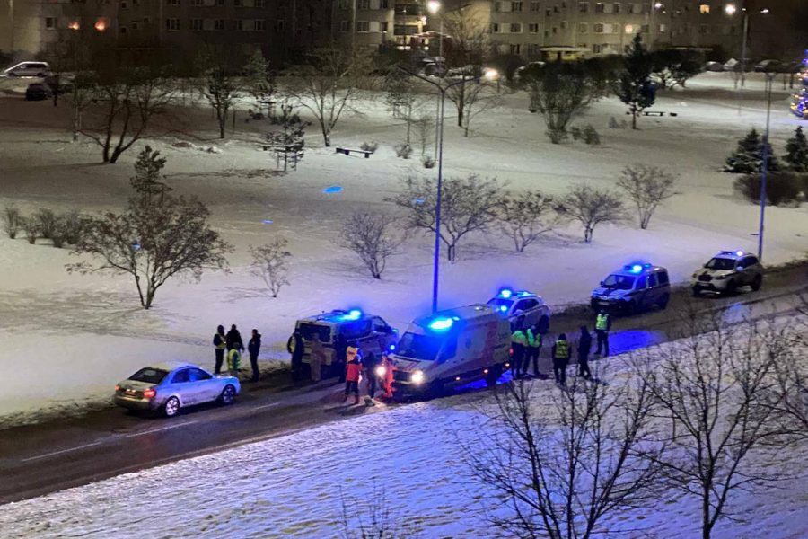 В комендантский час с "муляжом" барбоса. Полиция не поверила (Видео)