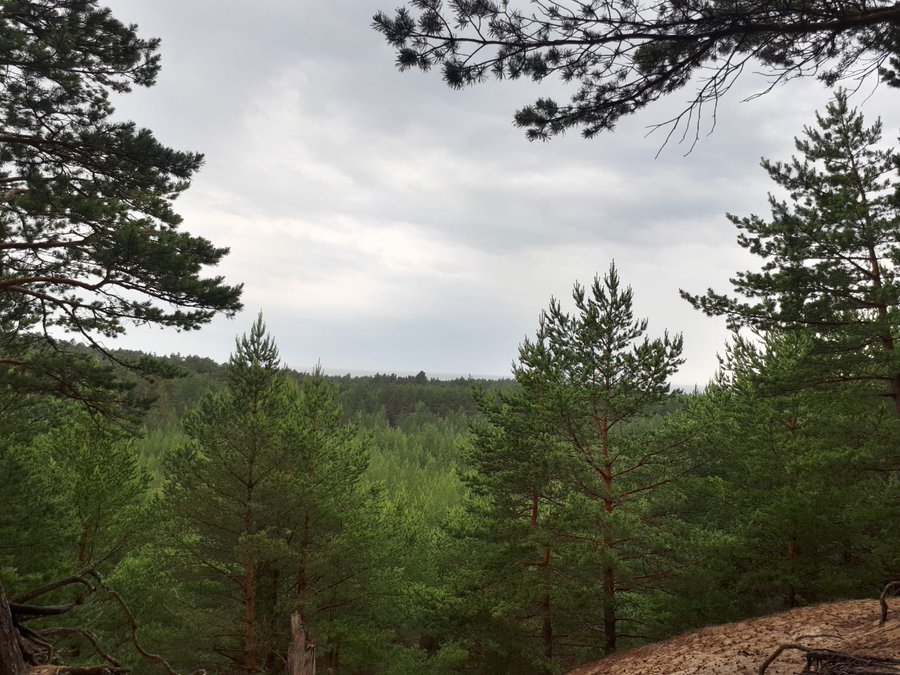 Облачно. Местами дождь