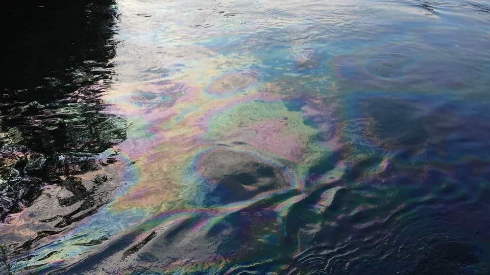 В Рижском канале констатированы нефтепродукты В Рижском канале констатированы нефтепродукты