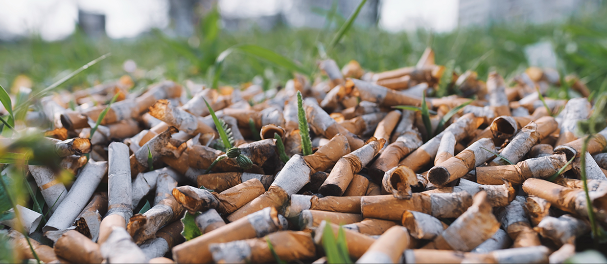 Спаси природу - собери брошенные на землю окурки