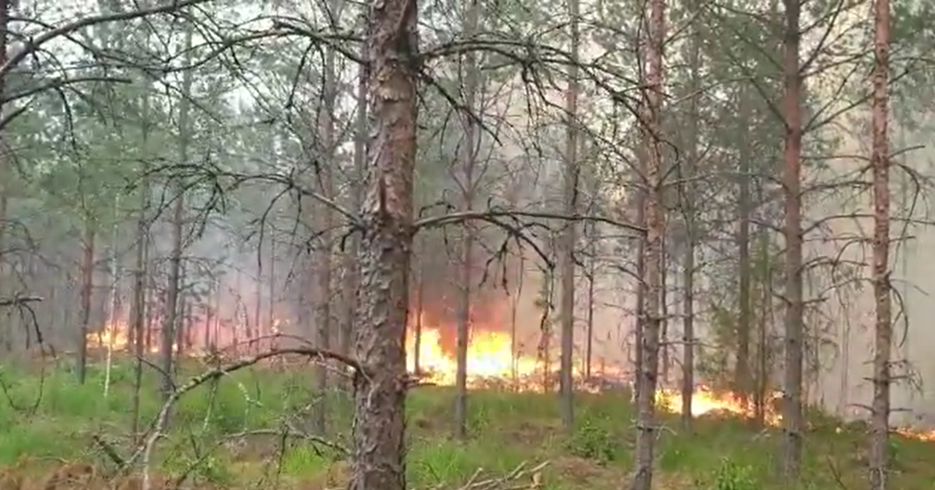 Обновлено: Площадь возгорания в Гаркалне – 21 га. Пожар локализован Обновлено: Площадь возгорания в Гаркалне – 21 га. Пожар локализован