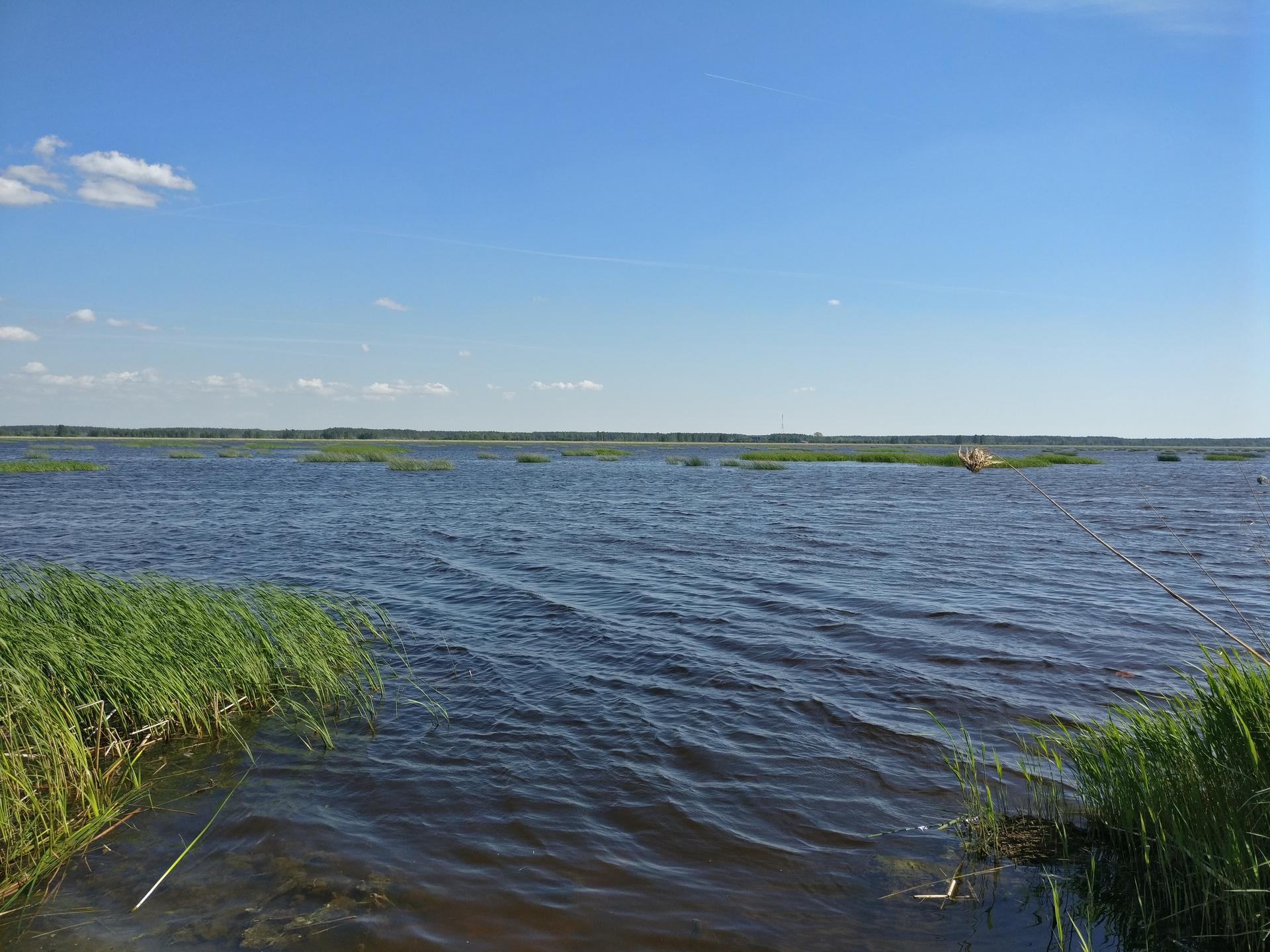 Самая теплая вода в Риге - в Кишэзерсе, Бабелите и на Кипсале