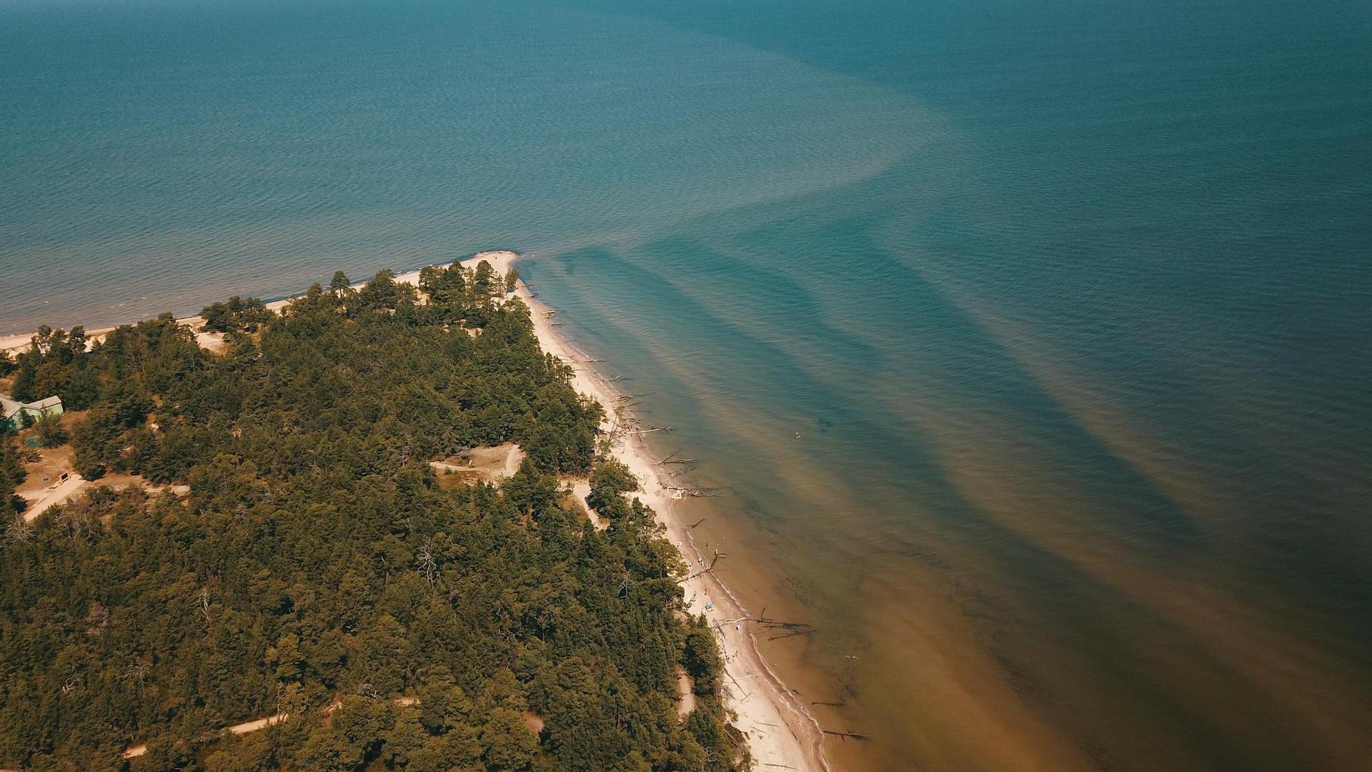 На Курземском побережье Рижского залива вода местами остыла до +7C На Курземском побережье Рижского залива вода местами остыла до +7C