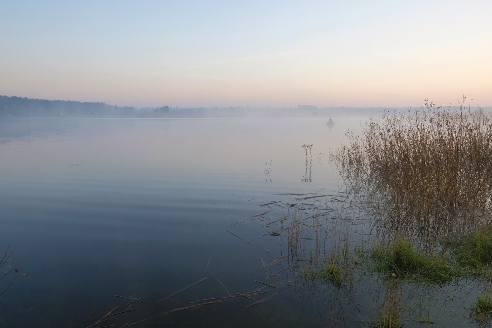 Во вторник будет умеренно тепло и сухо