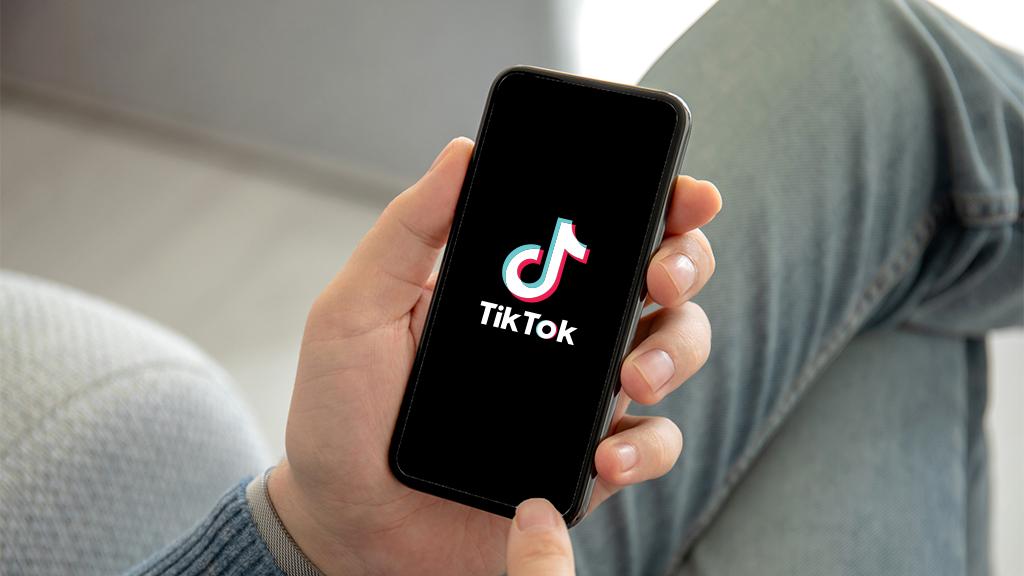 За поддержку преступлений России и разжигание ненависти в TikTok - арест