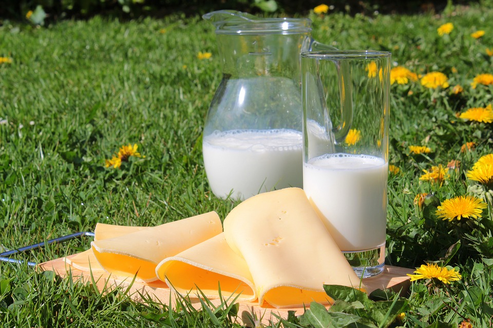 Производители: цены на молочные продукты будут постепенно расти Производители: цены на молочные продукты будут постепенно расти