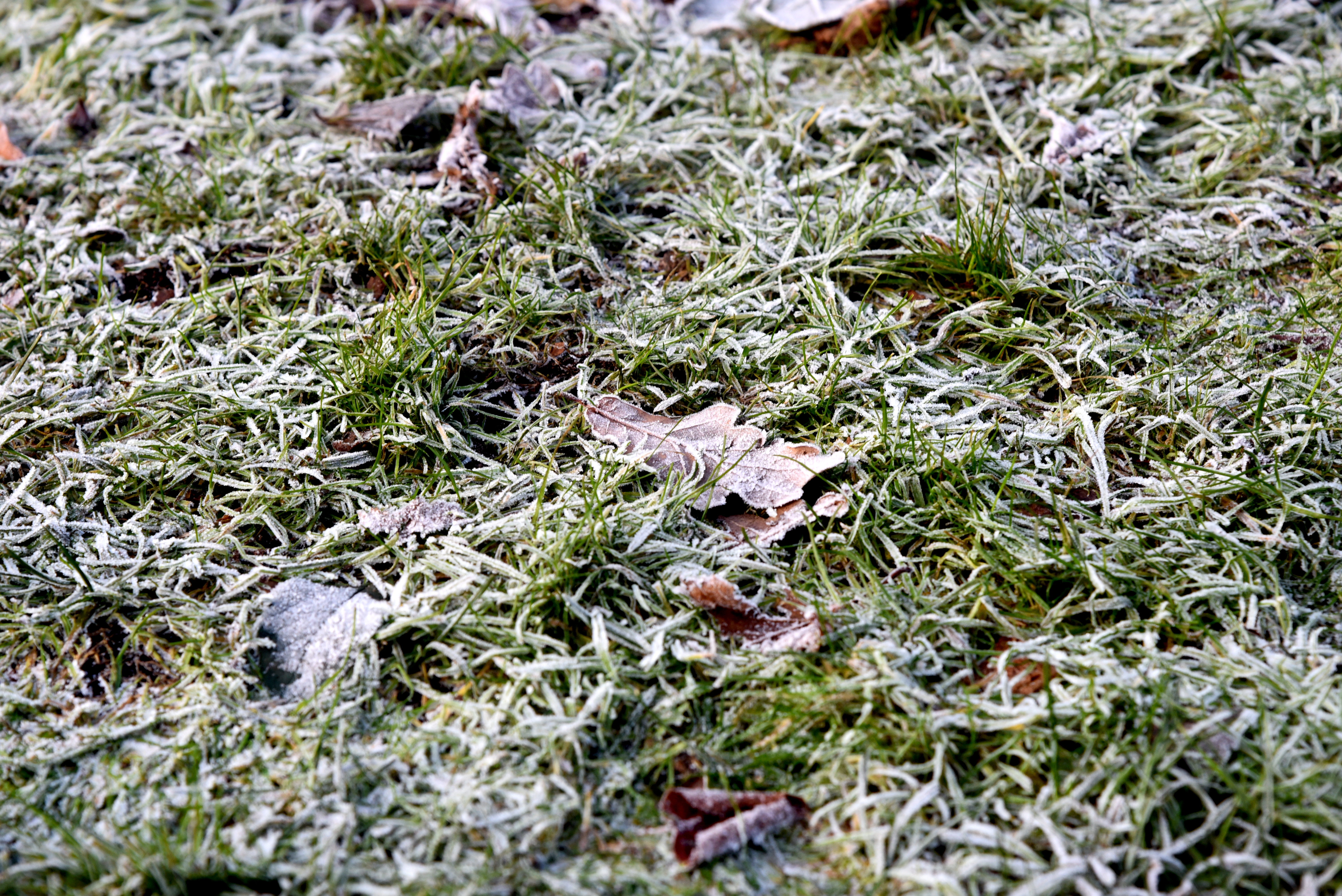 Piektdien, pastiprinoties vējam, nedaudz paaugstināsies gaisa temperatūra Piektdien, pastiprinoties vējam, nedaudz paaugstināsies gaisa temperatūra
