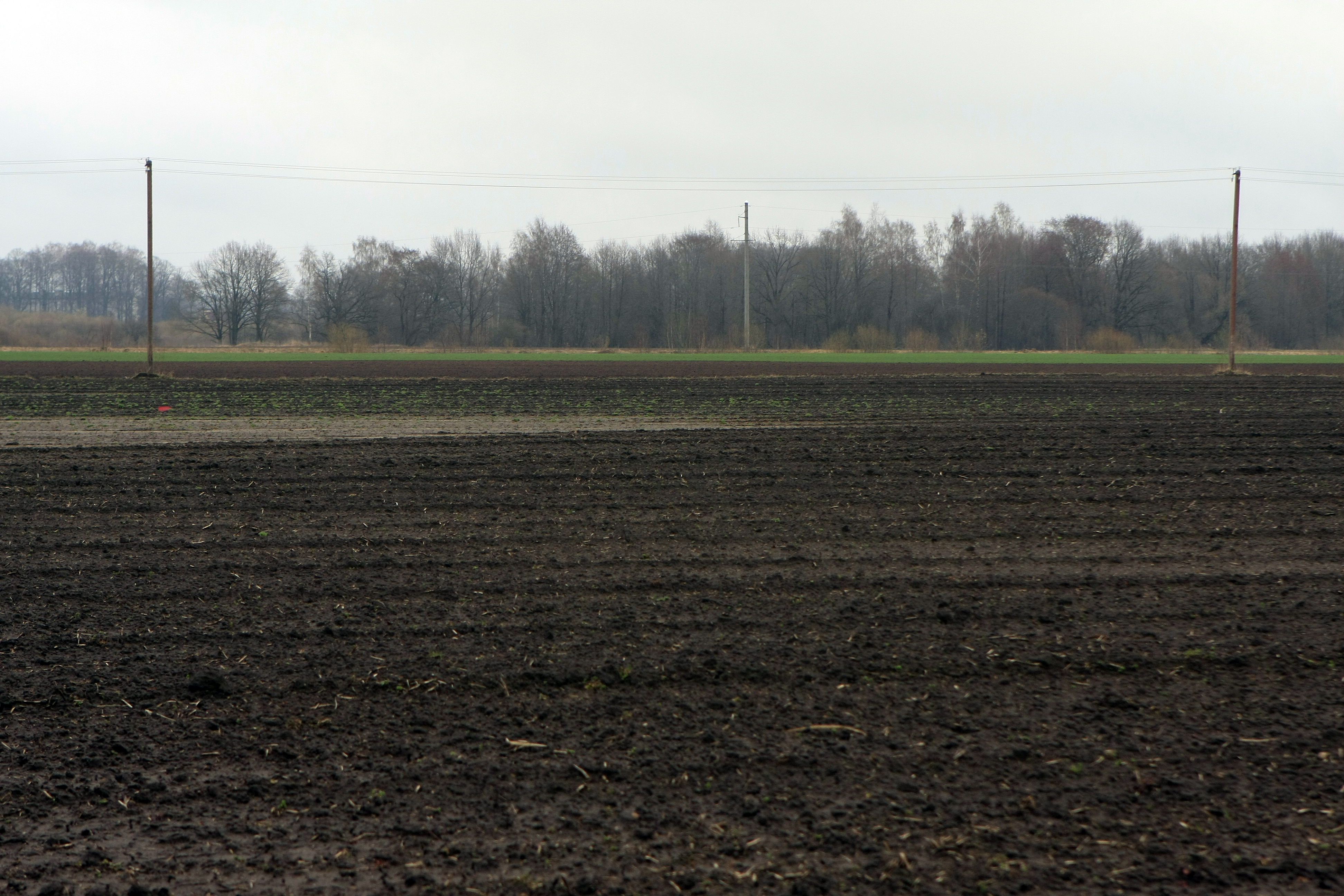 Ekstremāls mitrums pēdējā mēnesī konstatēts deviņos novados Vidzemē