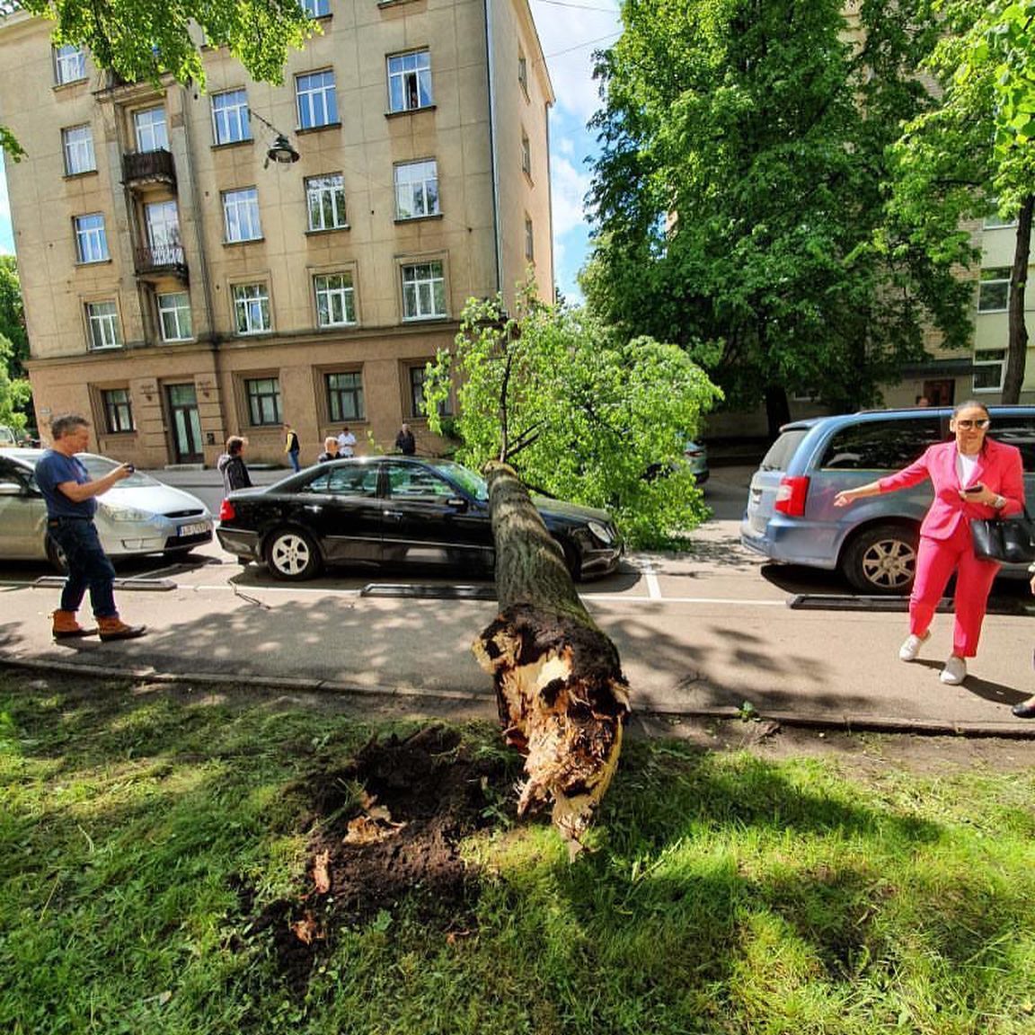 На перекрестке Кр. Валдемара и Малпилс рухнуло дерево - две машины разбиты
