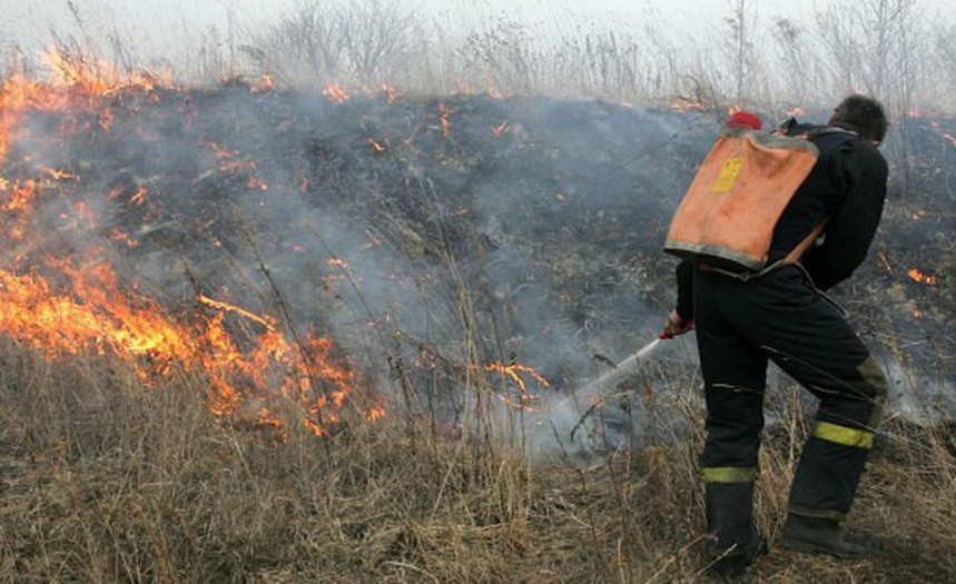 Леса вокруг Даугавпилса в этом сезоне горят чаще