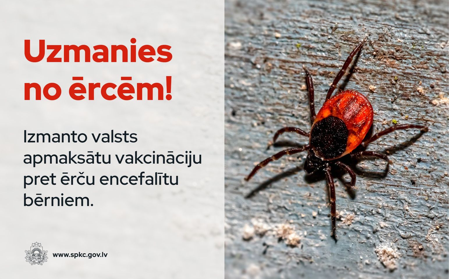 ЦПКЗ определил где самые опасные клещи в Латвии