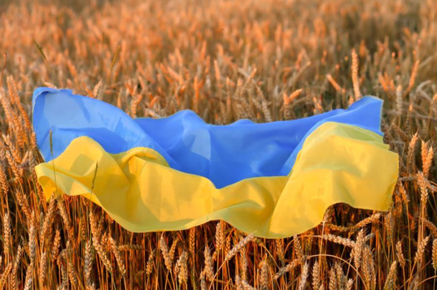 Льготы на импорт украинской сельхозпродукции продлены еще на год