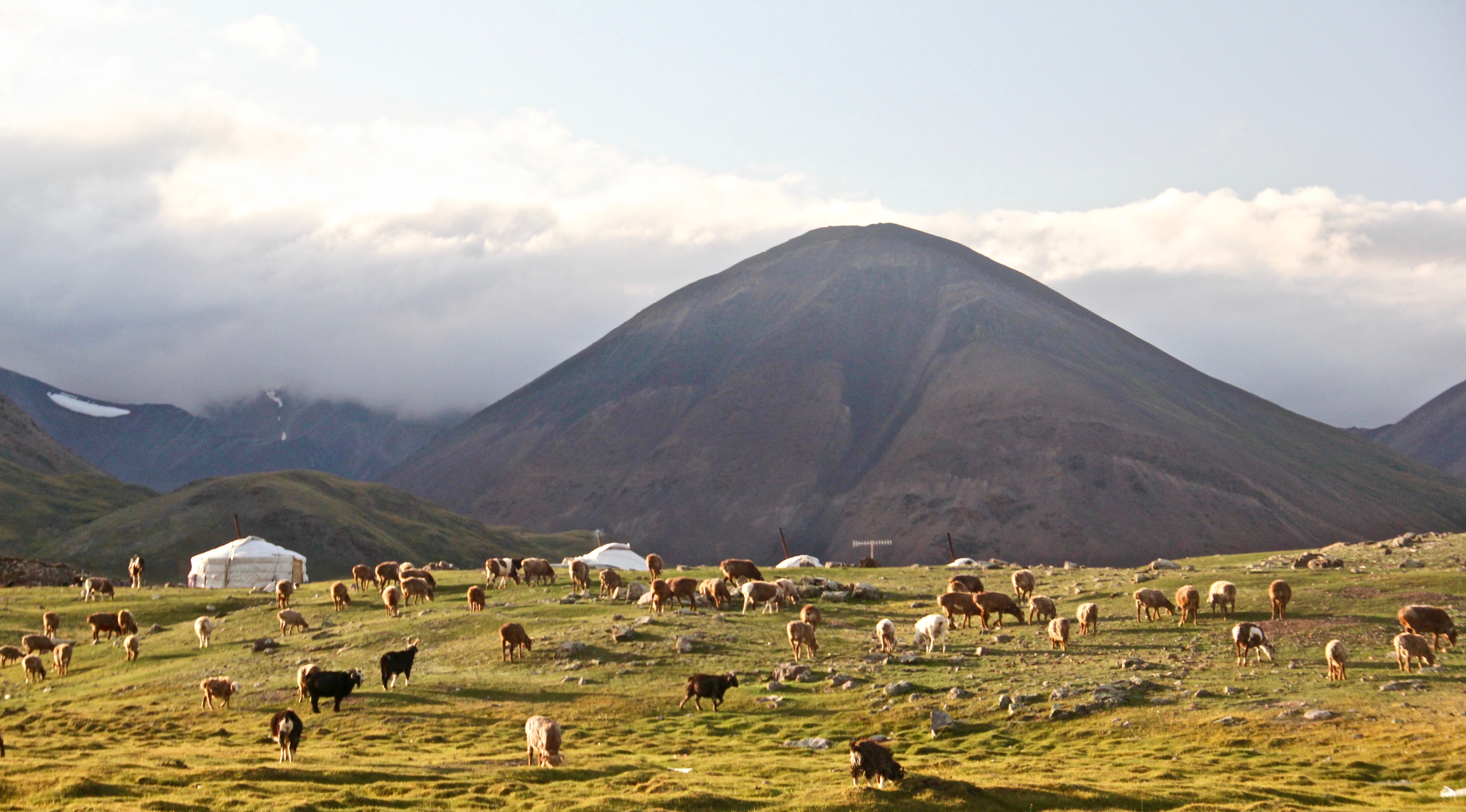 Vēlas attīstīt parlamentāros kontaktus starp Latviju un Mongoliju