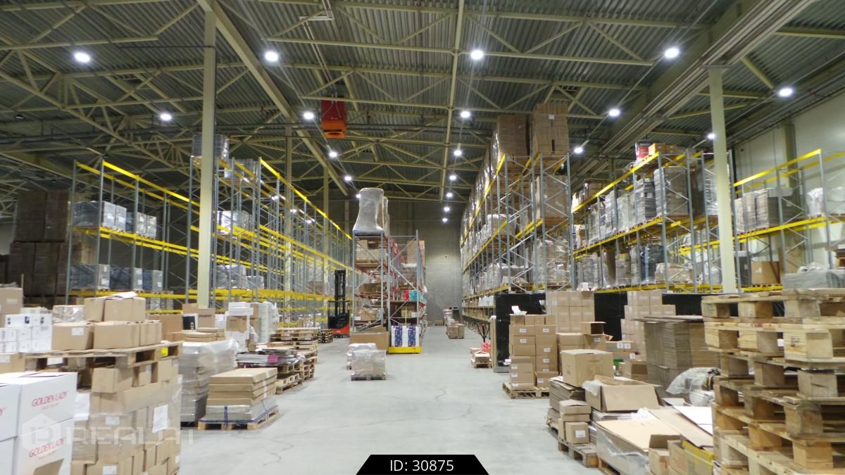 Крупнейшие экспортеры в РФ из Латвии - Wellman Logistics, Olainfarm и Kalceks