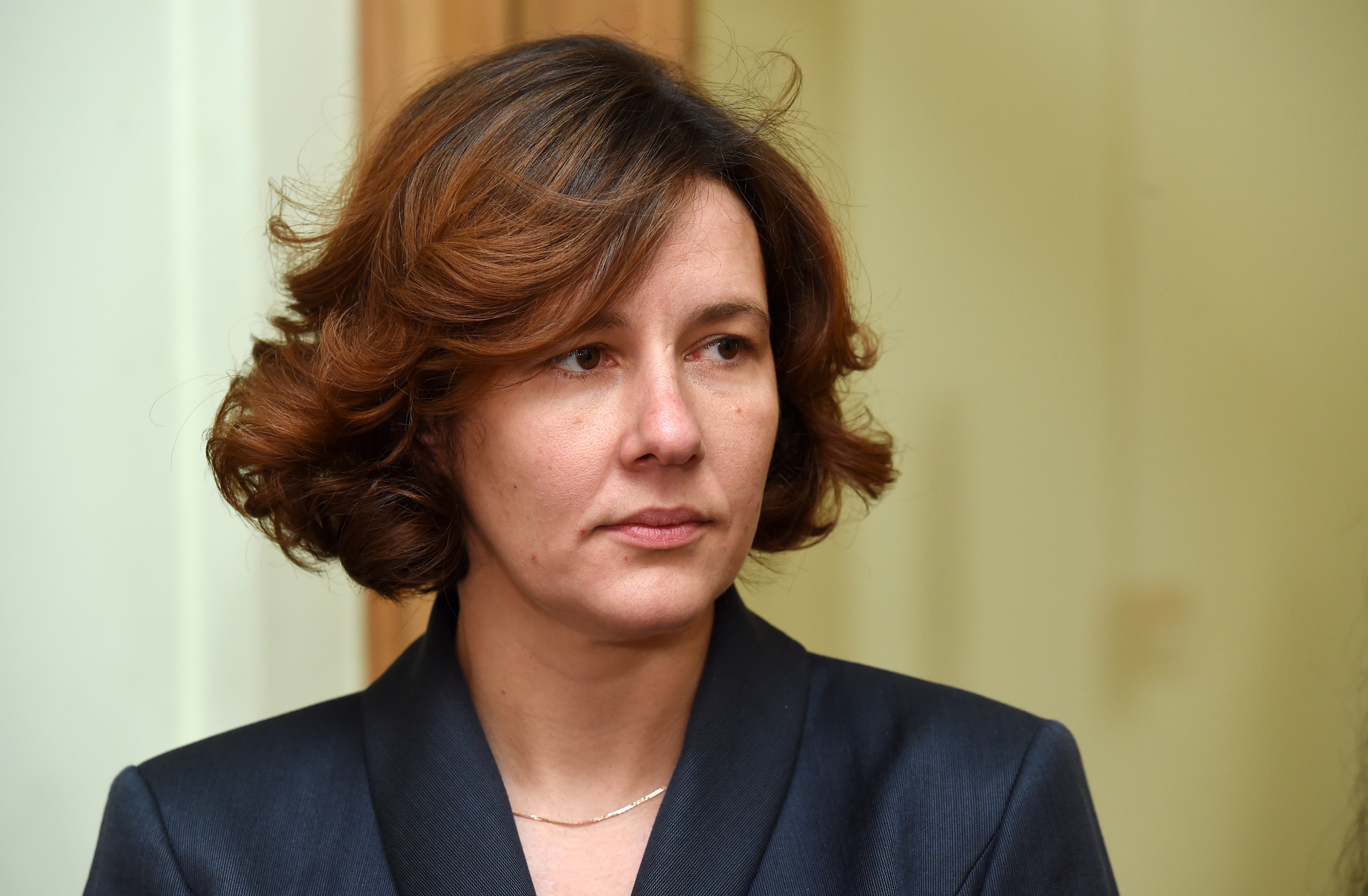 Рейзниеце-Озола: у получателей гонораров будут проблемы