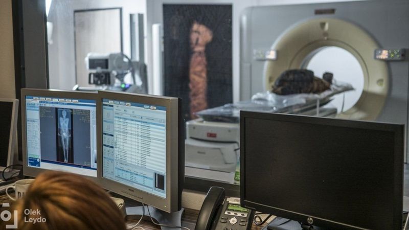Археологи в Египте нашли беременную мумию