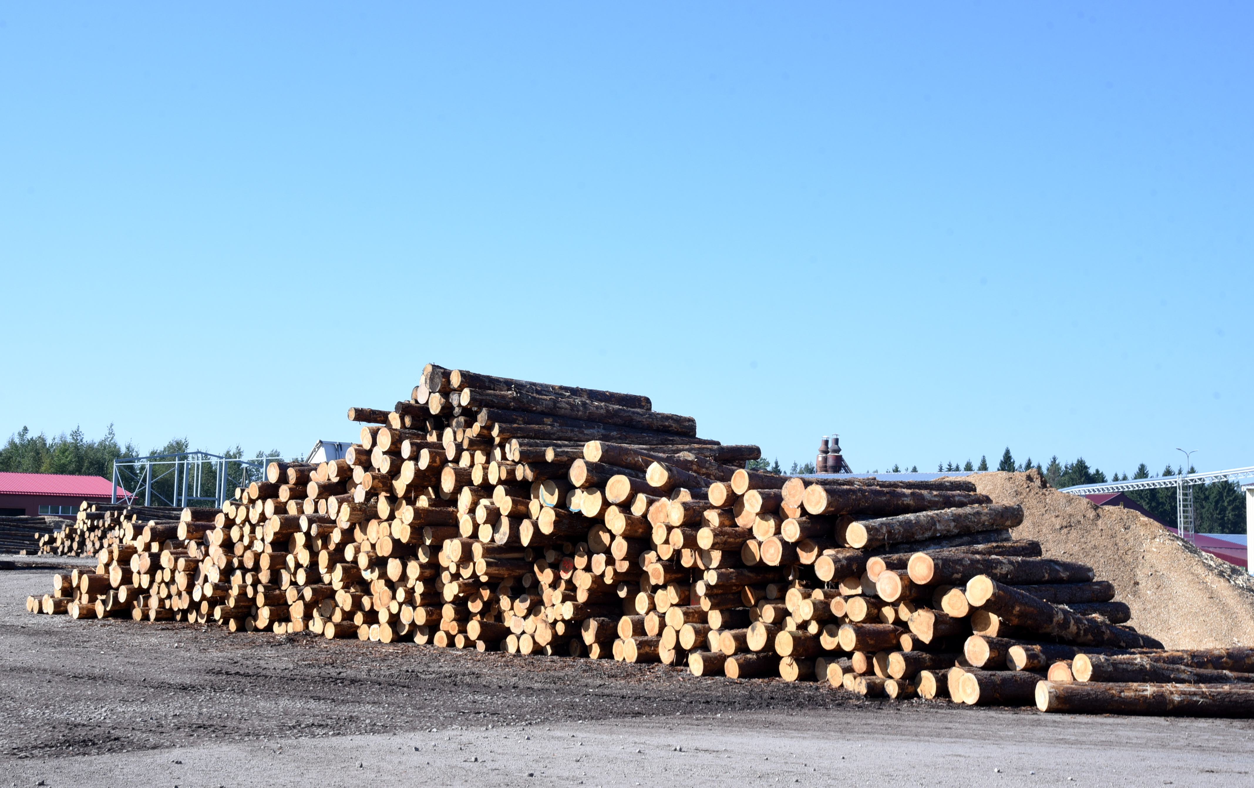 Patlaban kokmateriālu cenās izveidojies "burbulis"