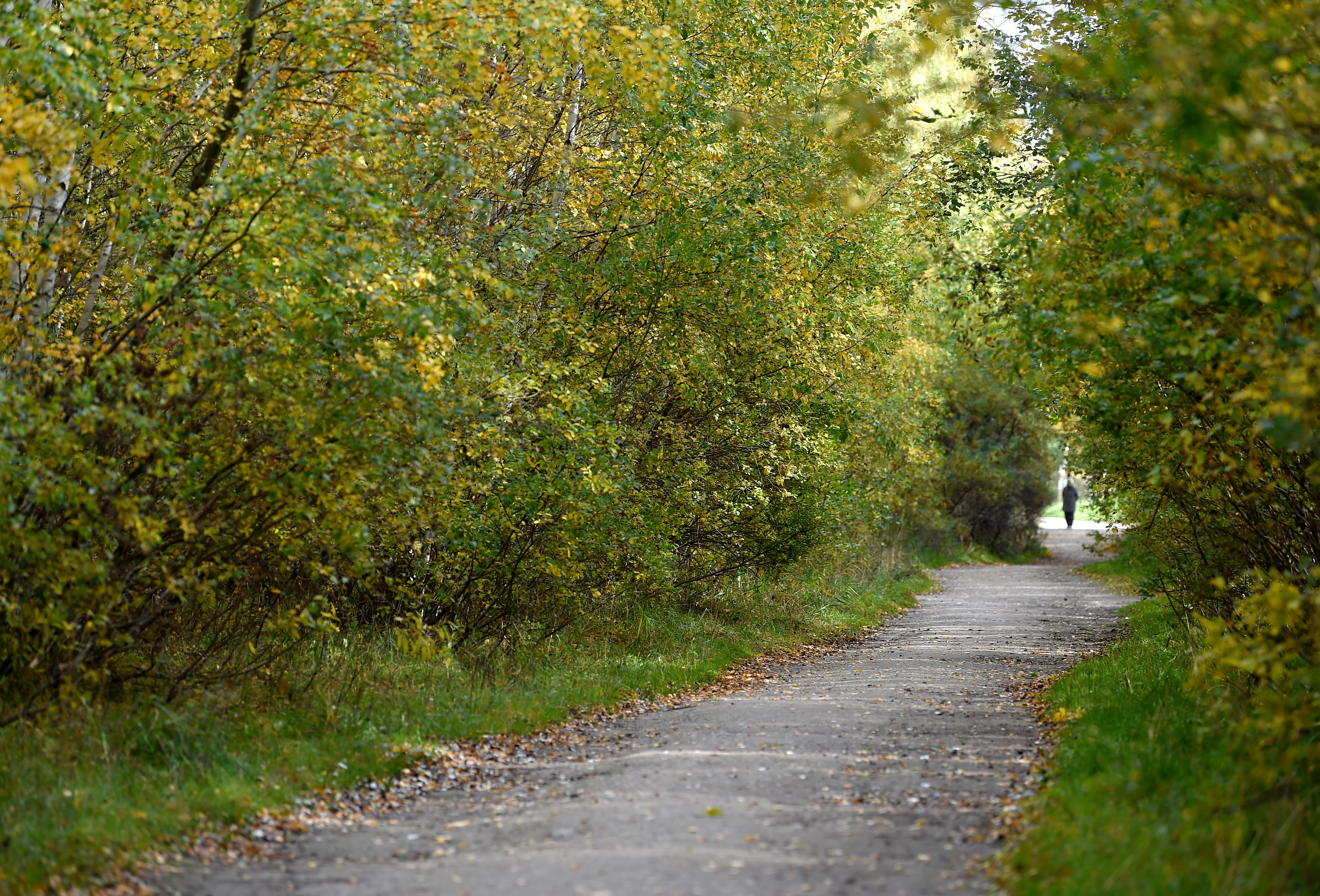 На следующей неделе дождей будет меньше
