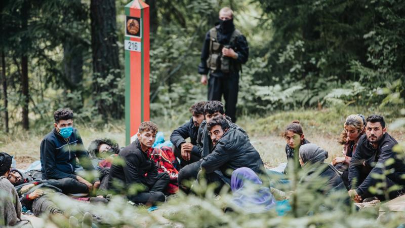 Литва поможет Латвии в борьбе с нелегалами на границе