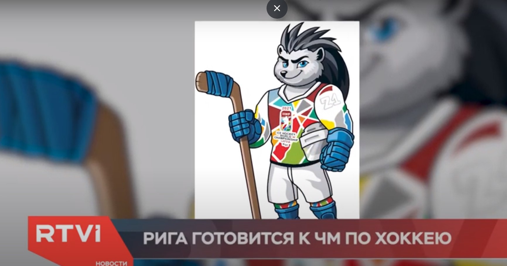 Хоккей с ежом. Что предлагают болельщикам?
