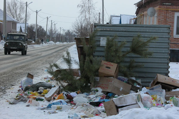 В Риге бесплатно вывезут елки