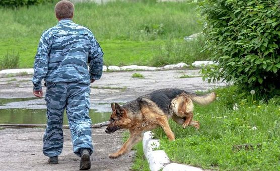 Полиция задержала мужчину за предоставление неверной информации родственникам пропавшей в Роговке девочки