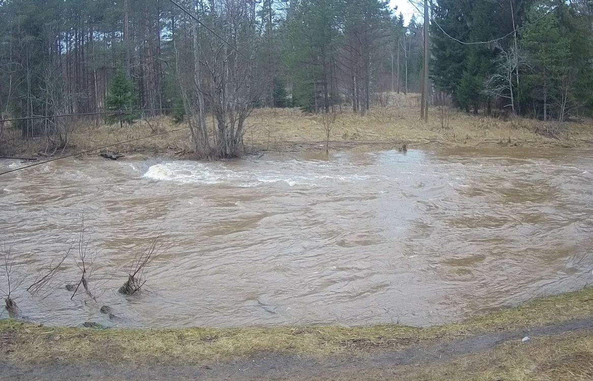 В Латвии затоплены поймы рек; уровень воды снизится на следующей неделе