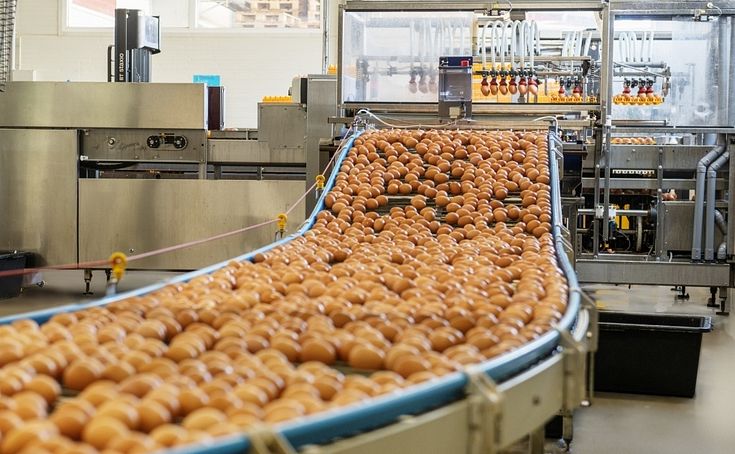 Латвийские производители продуктов питания готовы помочь Украине