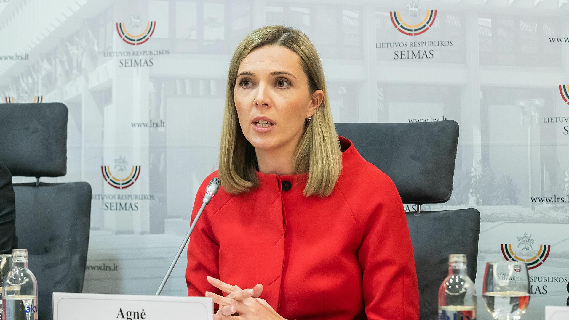 Глава МВД Литвы просит 500 млн евро на остановку миграции
