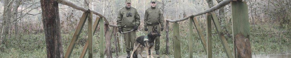 Эстония в срочном порядке укрепляет свои рубежи