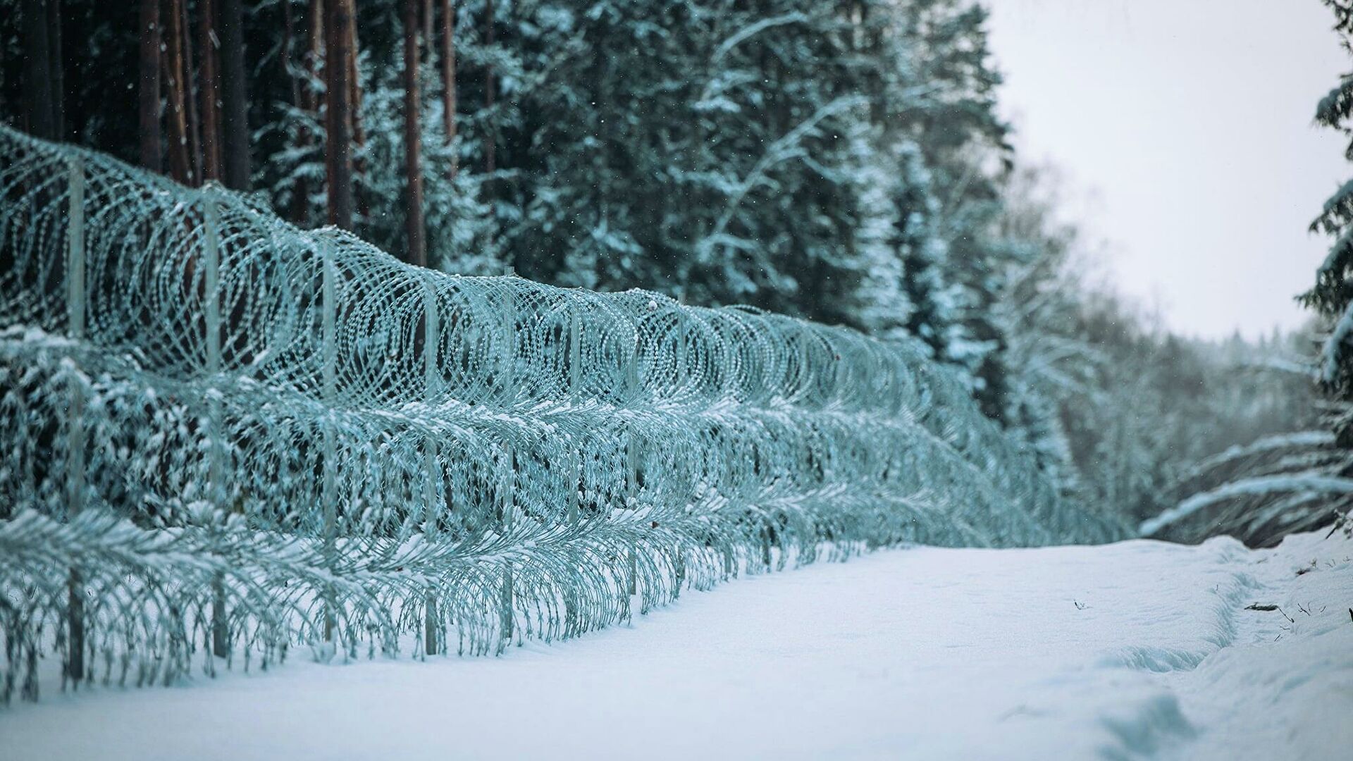 Забор на латвийско-белорусской границе передвинули на полметра Забор на латвийско-белорусской границе передвинули на полметра