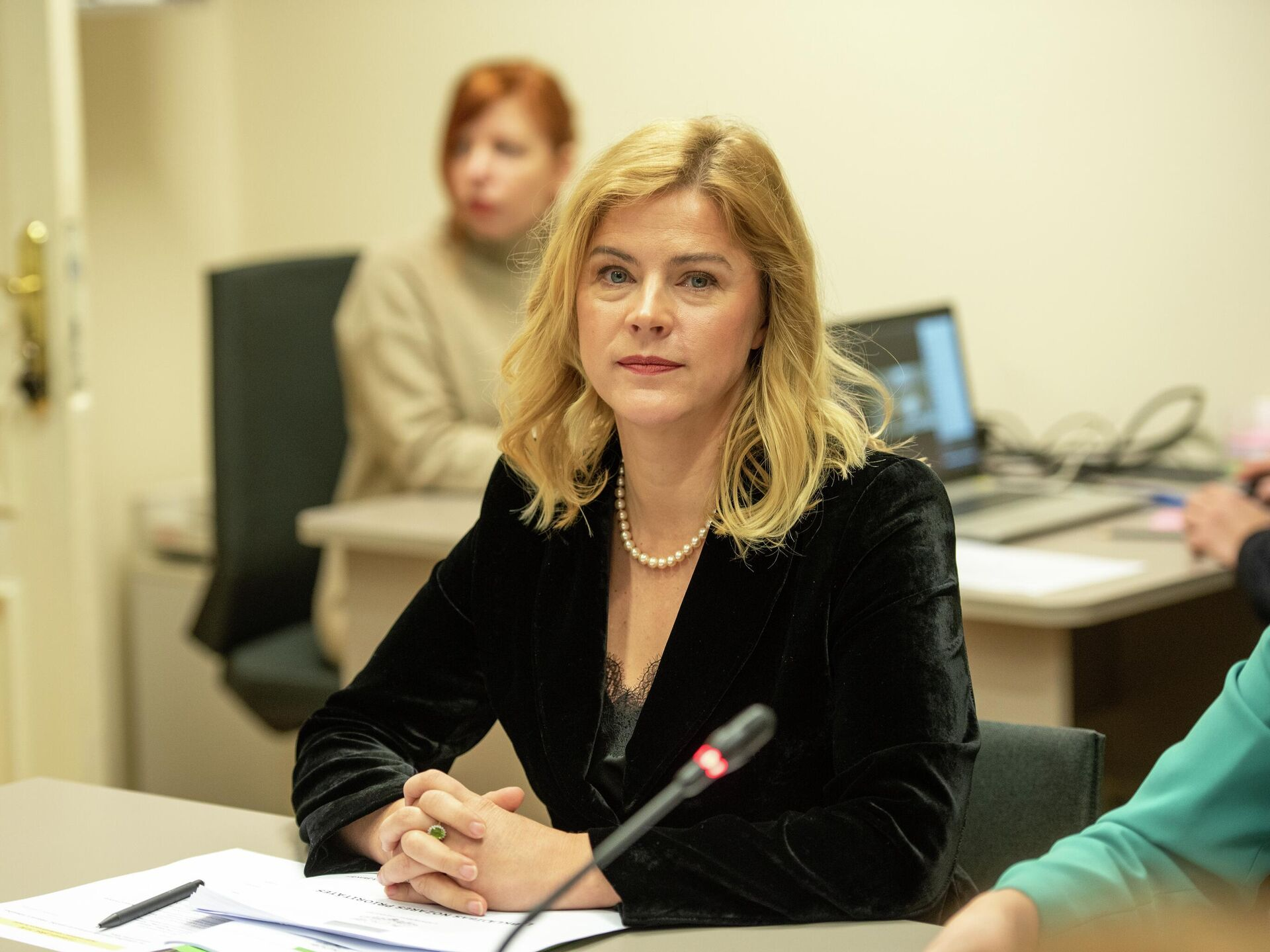 Силиня допускает возможность лишения гражданства натурализованных граждан, ставших предателями Латвии