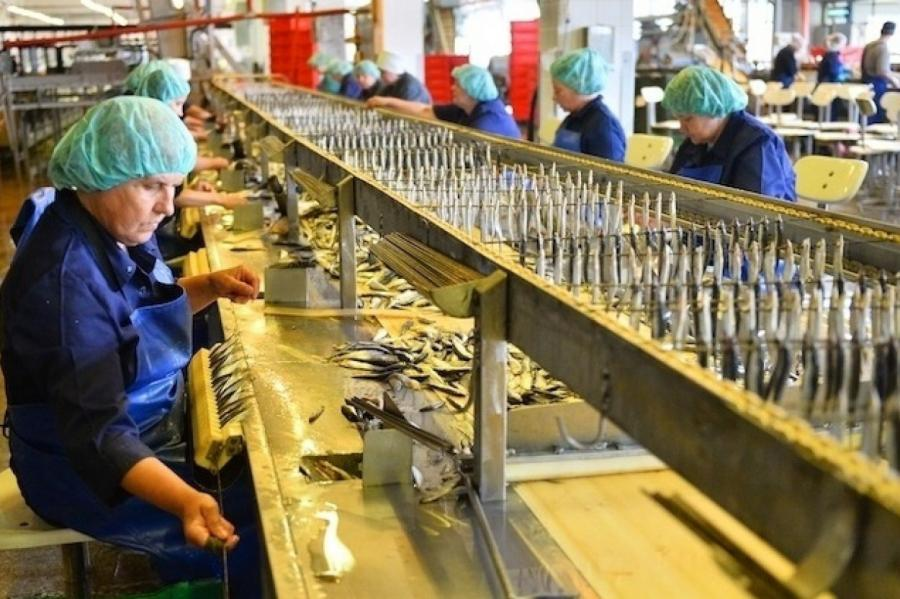 Промышленная продукция Латвии за год подорожала на 33%