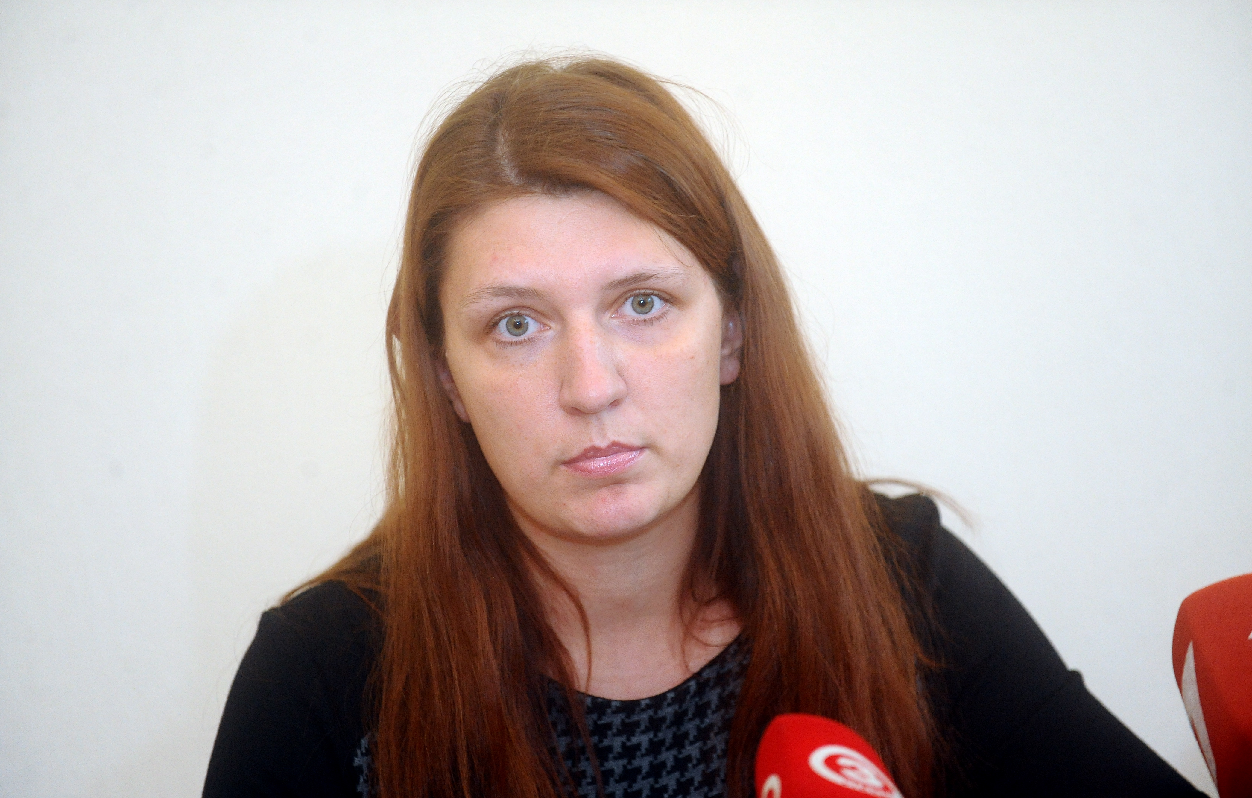 Ванага: выполнены не все требования педагогов Ванага: выполнены не все требования педагогов