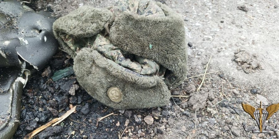 Бойня на белгородском полигоне: что известно