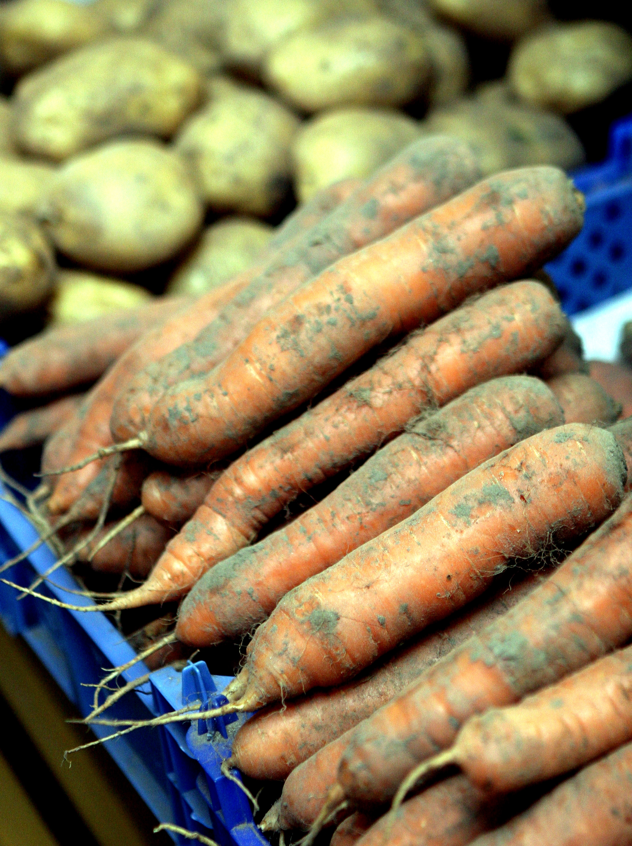 Lauksaimniecības produktu cenu līmenis pērn Latvijā sarucis par 2%