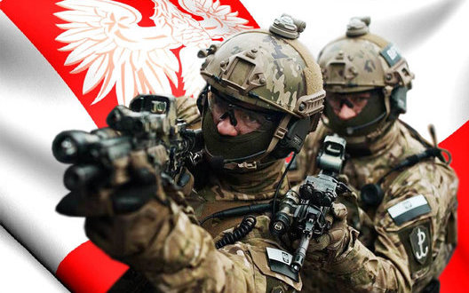 В Польше возобновляют обязательную подготовку резервистов