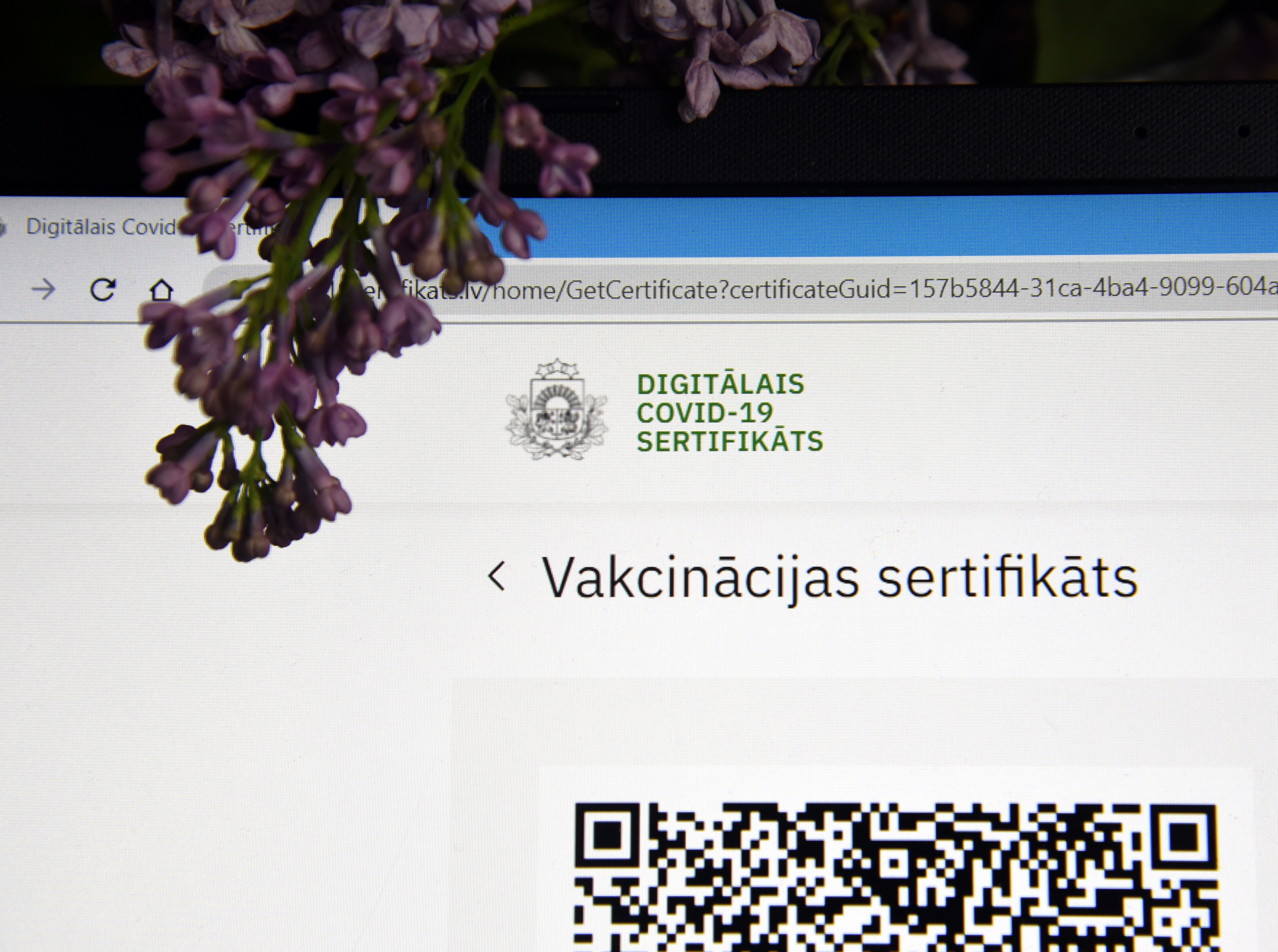 За взятку врачу и имитацию вакцинации задержано семь человек