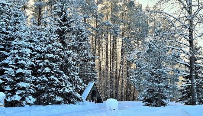 Latvijas valsts meži приглашает на прогулку в зимнюю лесную сказку