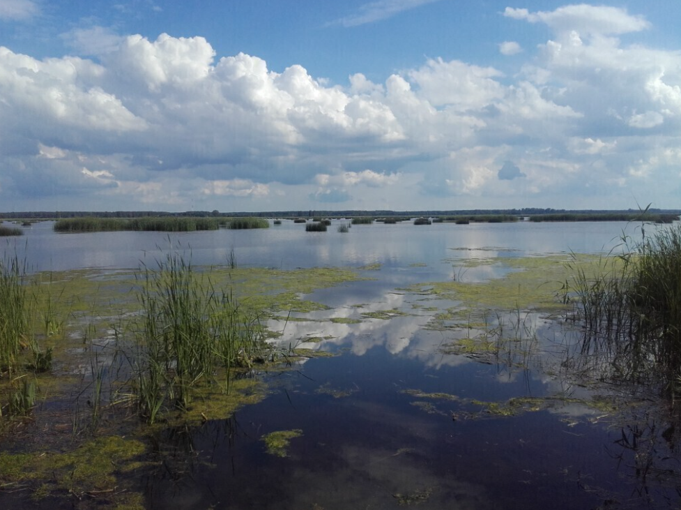 В неофициальных местах для купания в Риге будут взяты пробы воды на анализ
